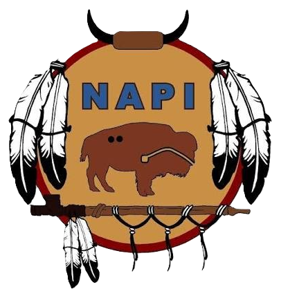 Napi Friendship Association